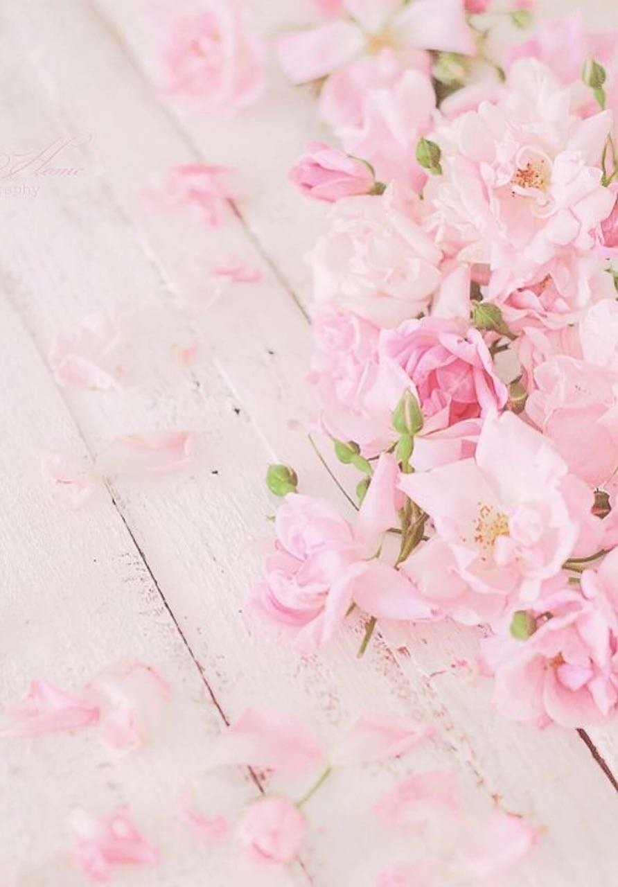 Нежный цветок