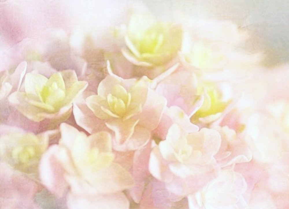 Фон в постельных тонах с цветами