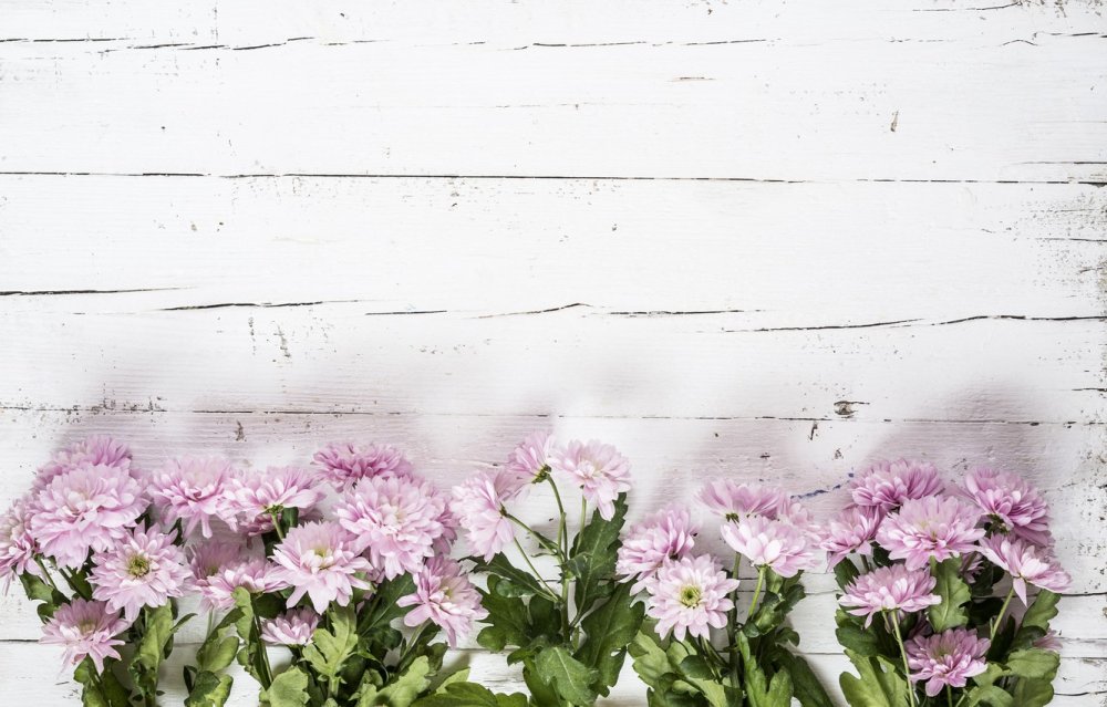 Фон с цветами