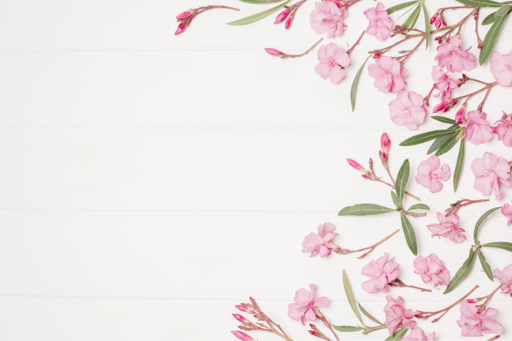 Цветочный фон для фотошопа