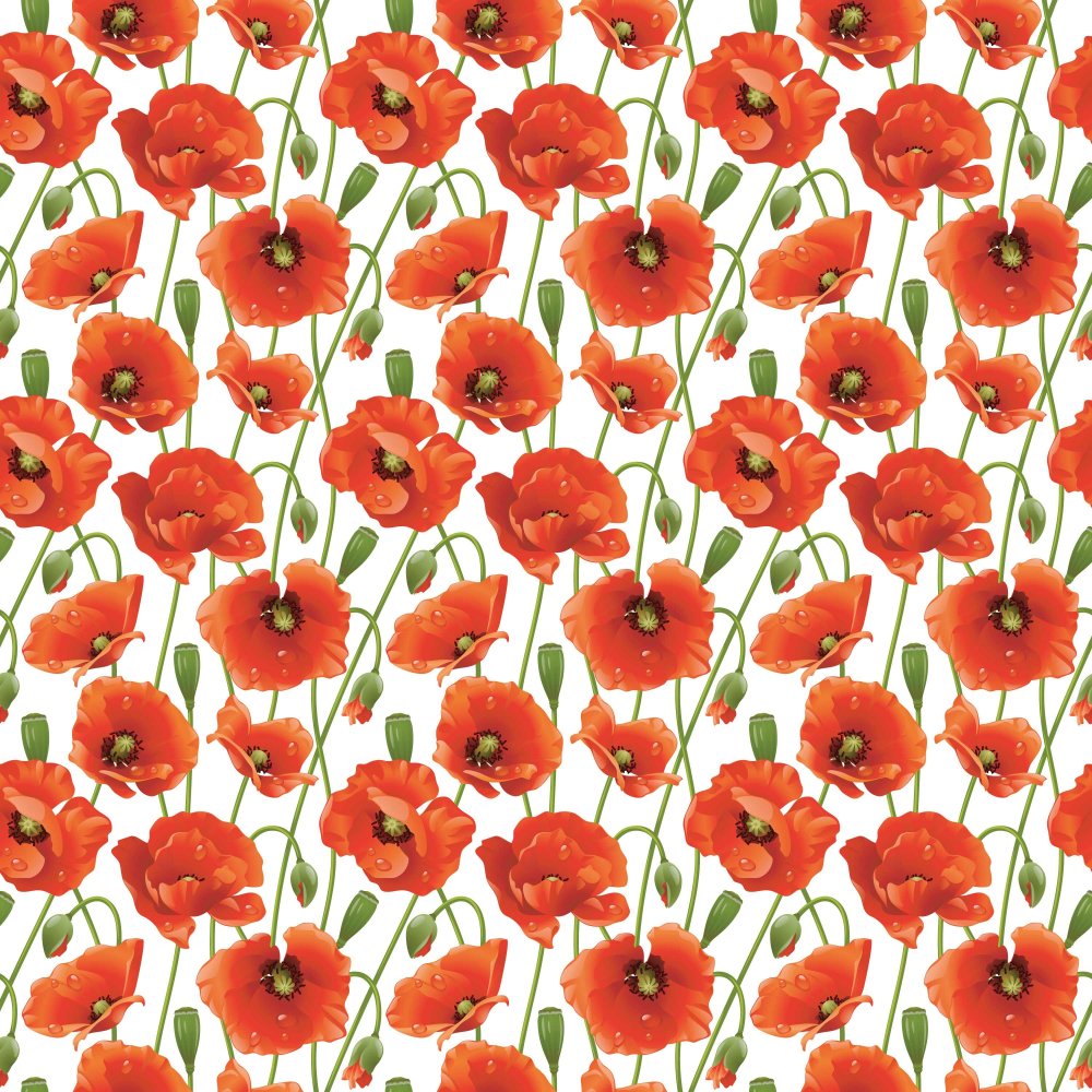 Бумага и Мак