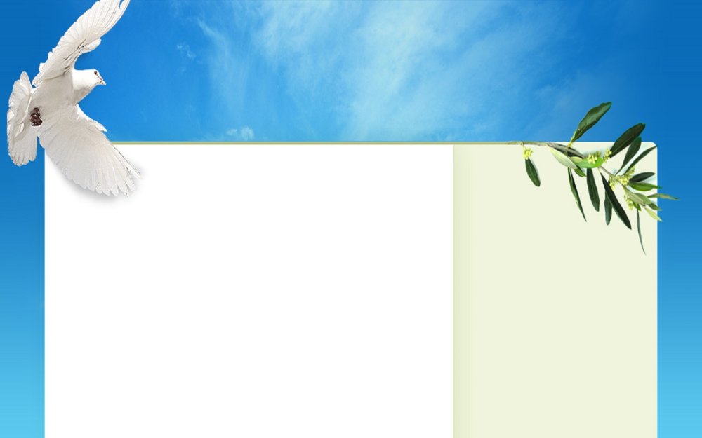 Голуби в небе