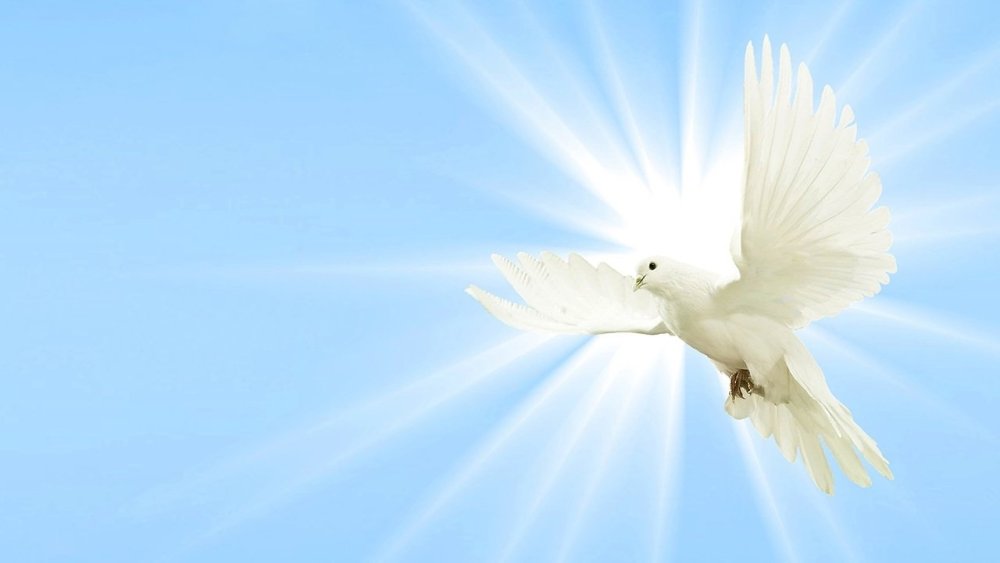 Небо с голубями фон