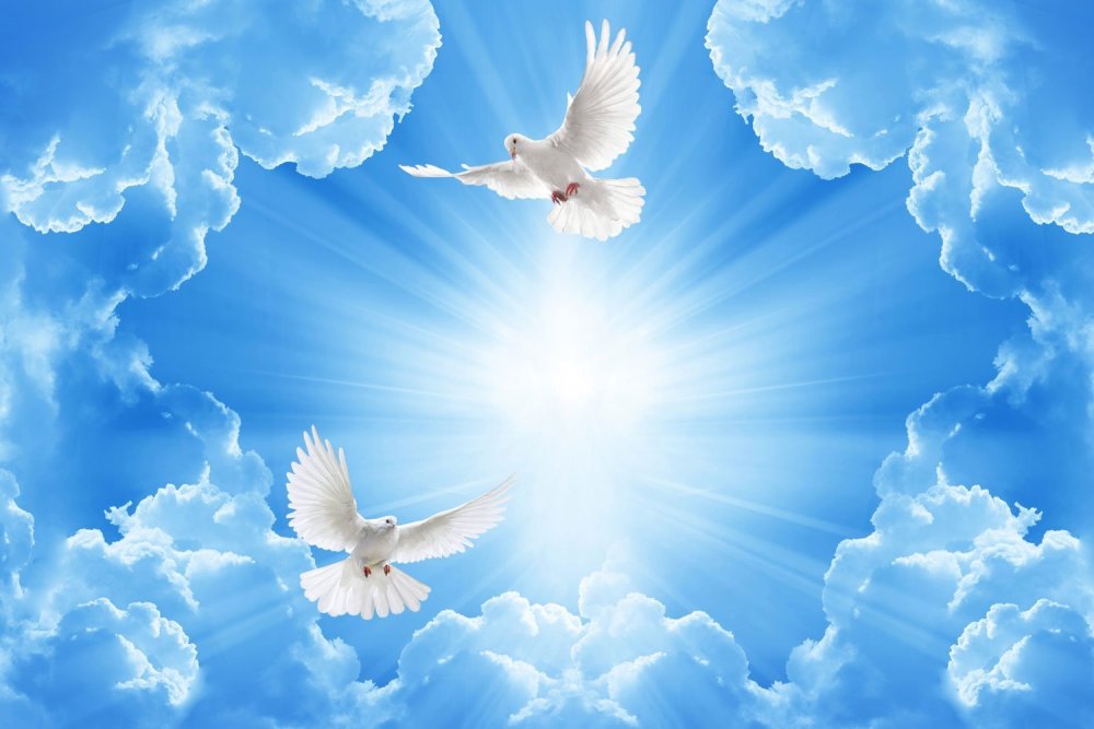 Голубое небо с голубями