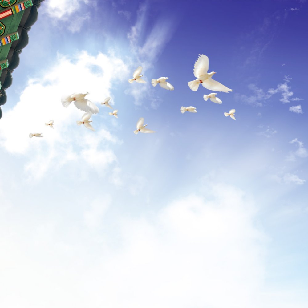 Фон с голубями