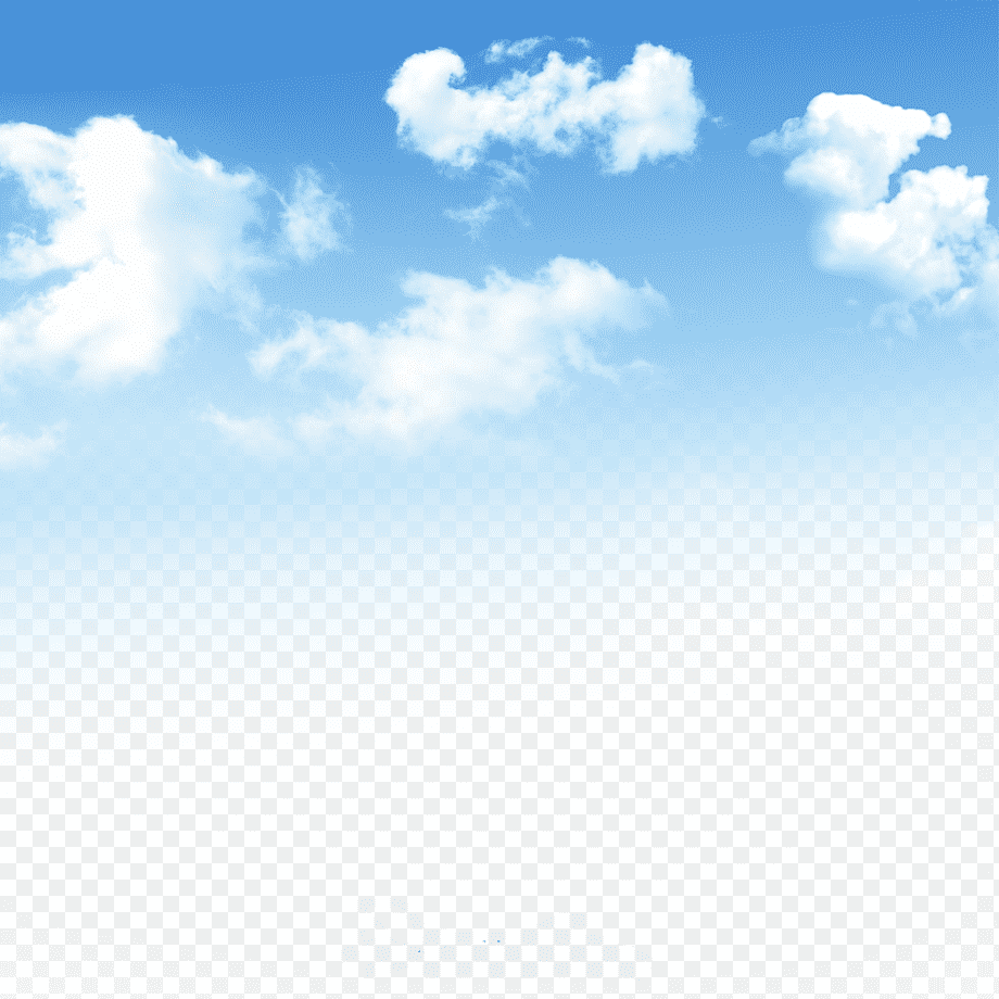 Розовый космос