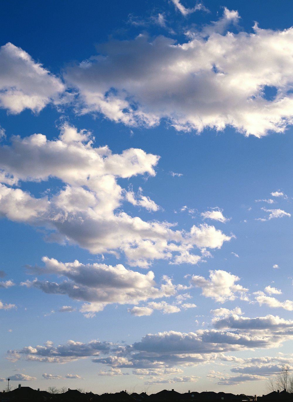 Светло Небесный фон