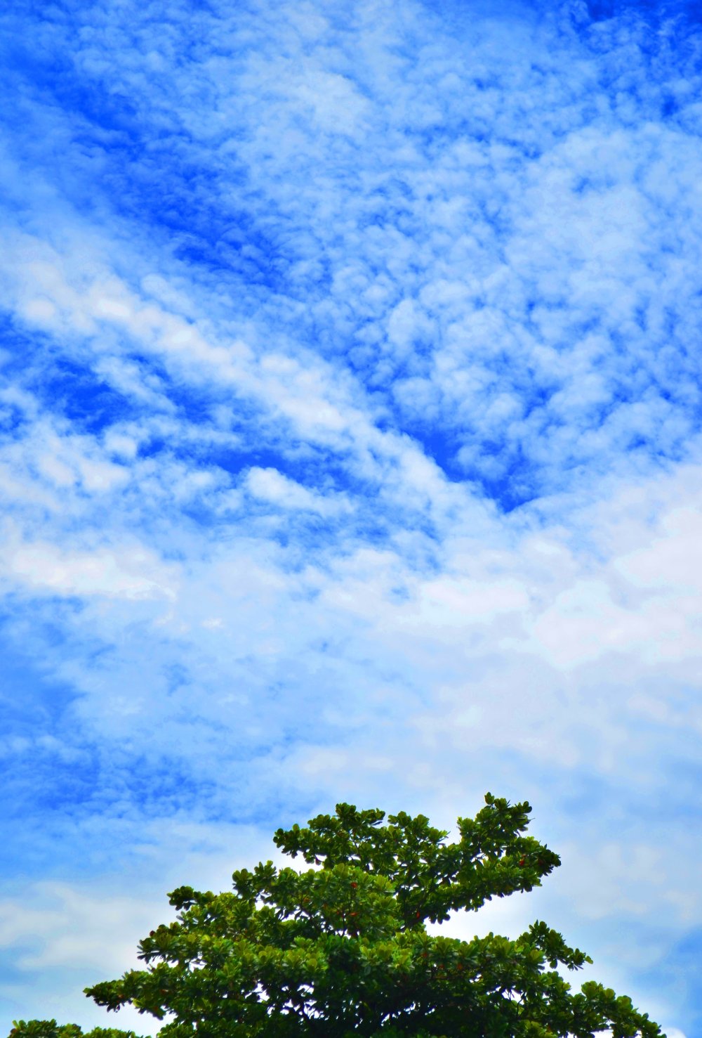 Голубое небо с облаками