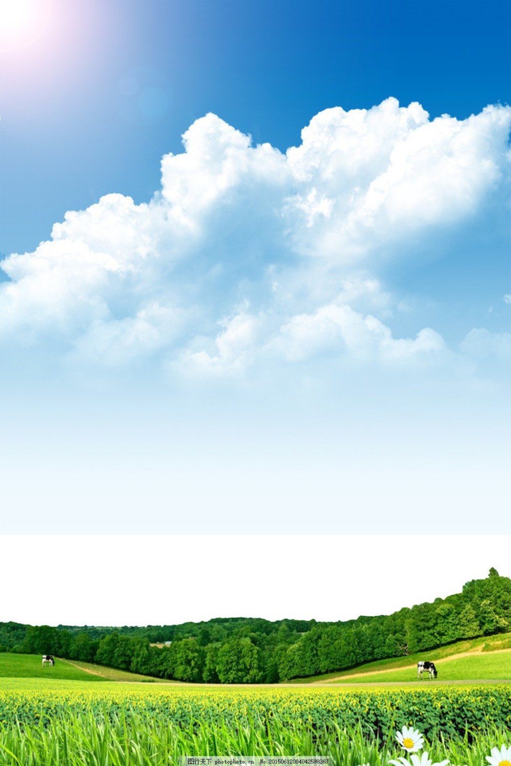 Красивый фон для портрета