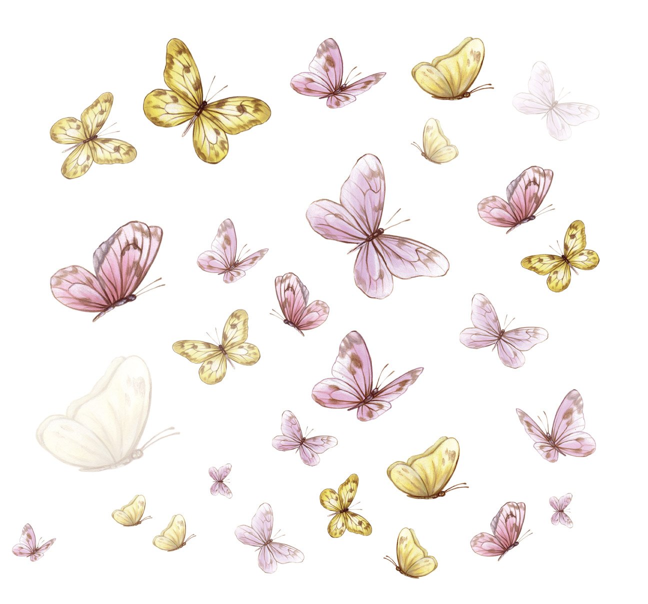 Бабочки пастельных тонов на белом фоне