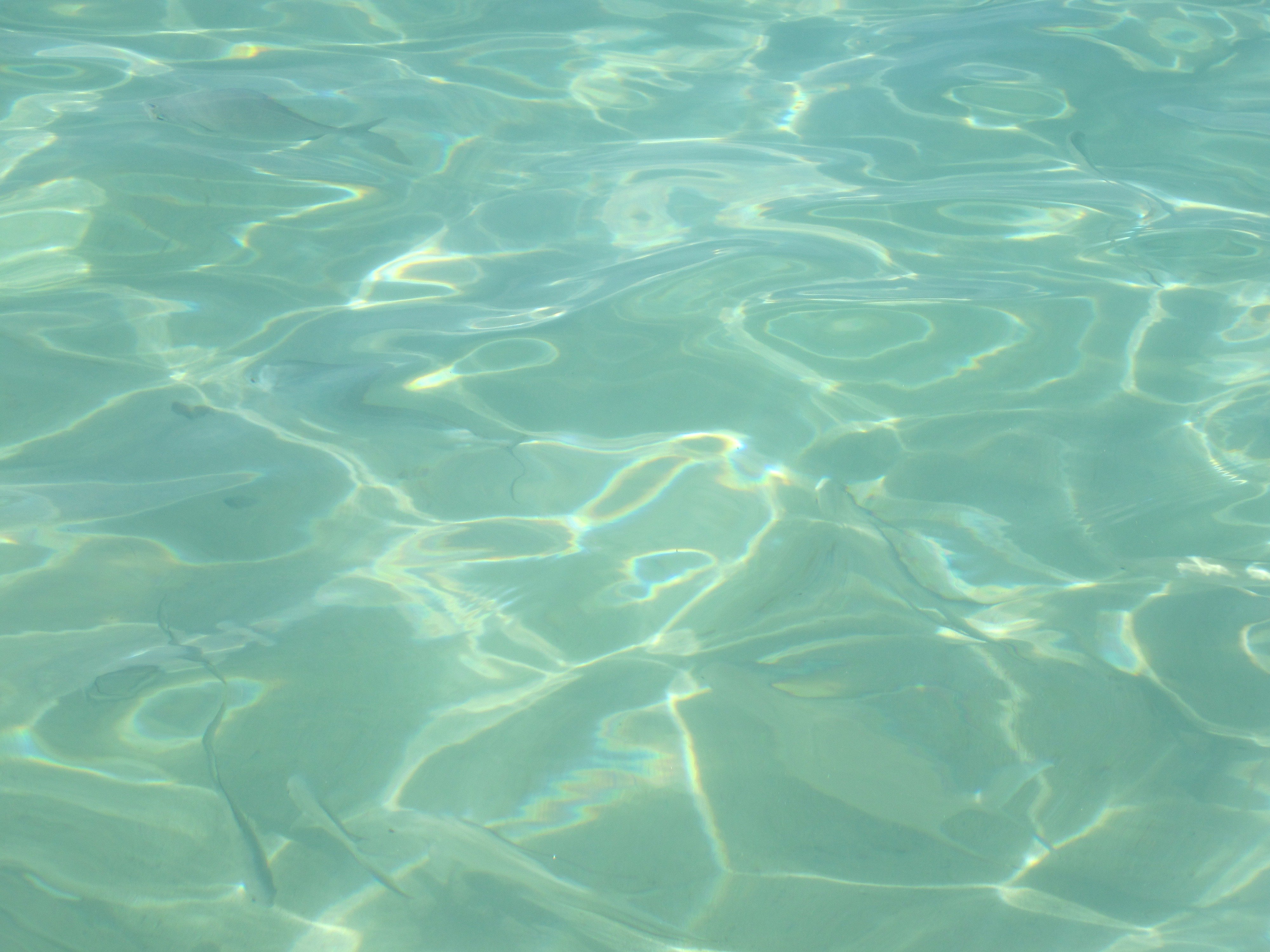 В прозрачной воде снуют. Морская гладь. Голубая прозрачная вода. Прозрачная вода в бассейне. Текстура воды.