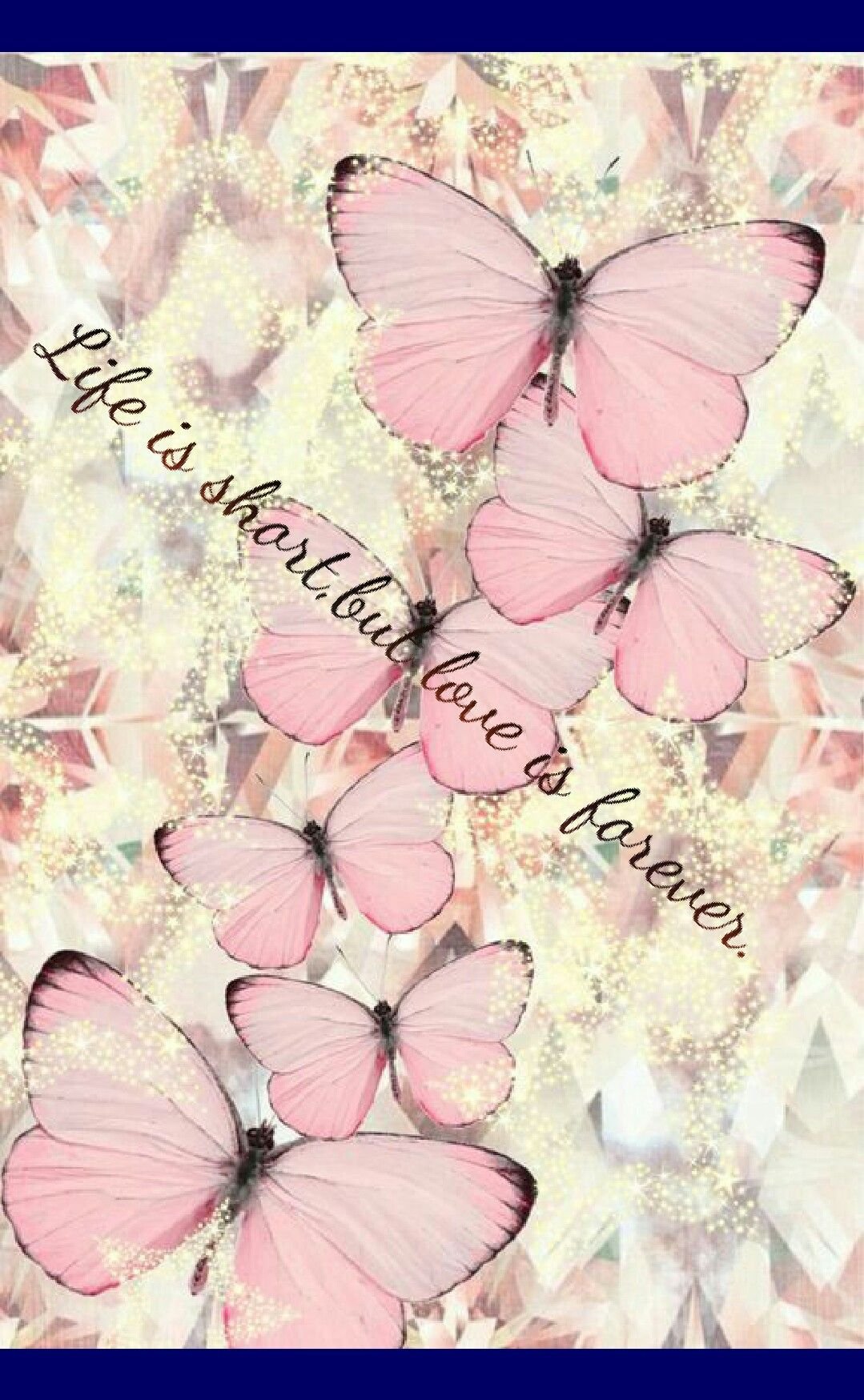 Бабочка на розовом цветке