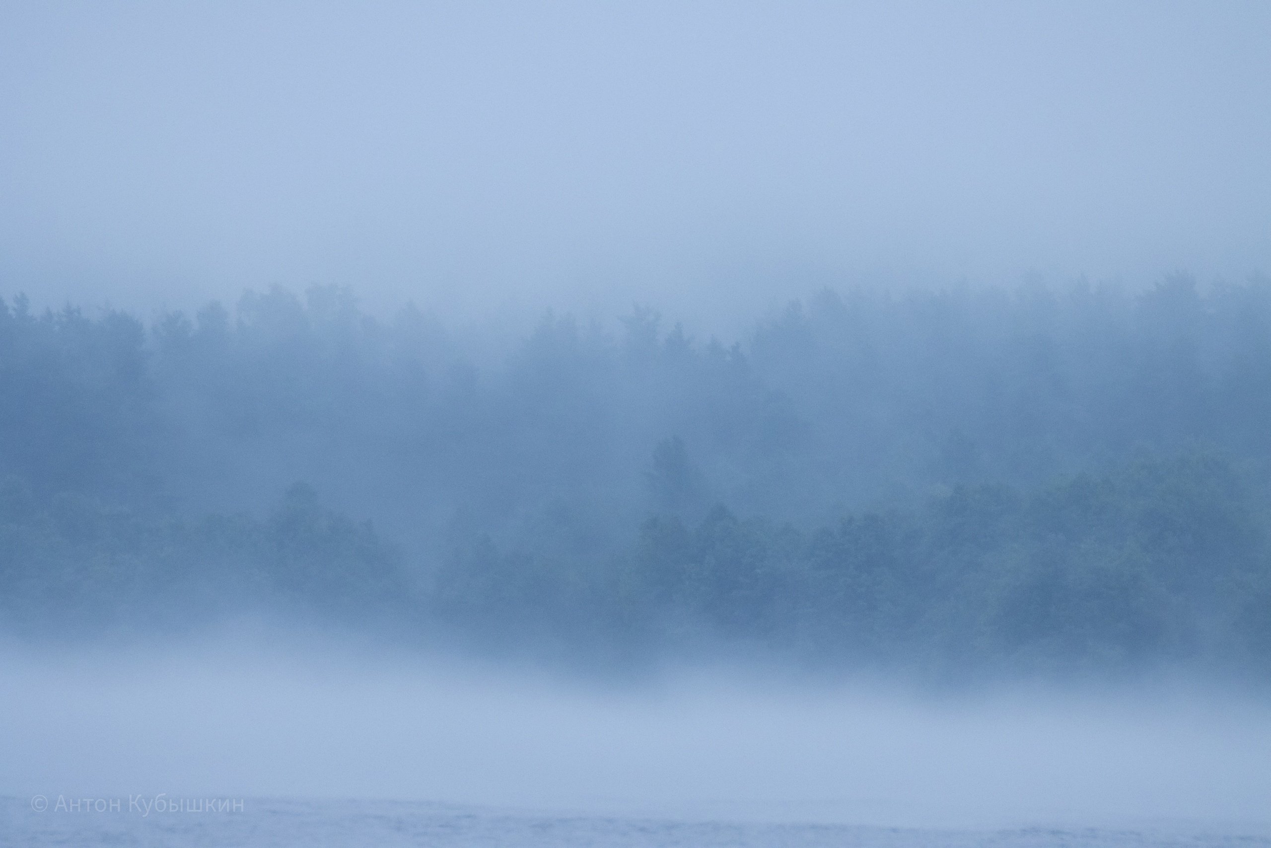 Густой туман тип предложения. Густой туман. Туман ночью. Туман на Ладоге. Петербург туман.