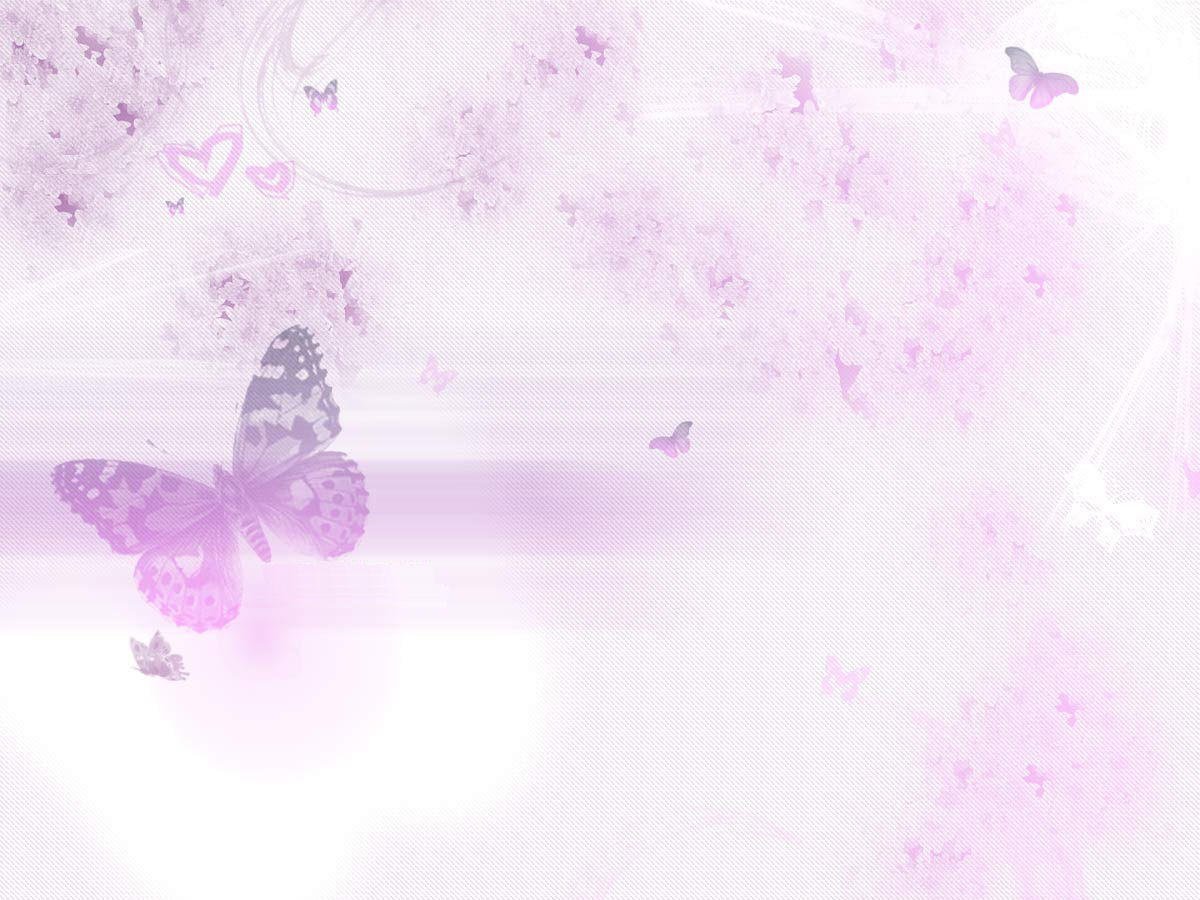 Бабочки розовые фон. Нежный фон. Фон бабочки. Сиреневый фон. Нежно фиолетовый фон.