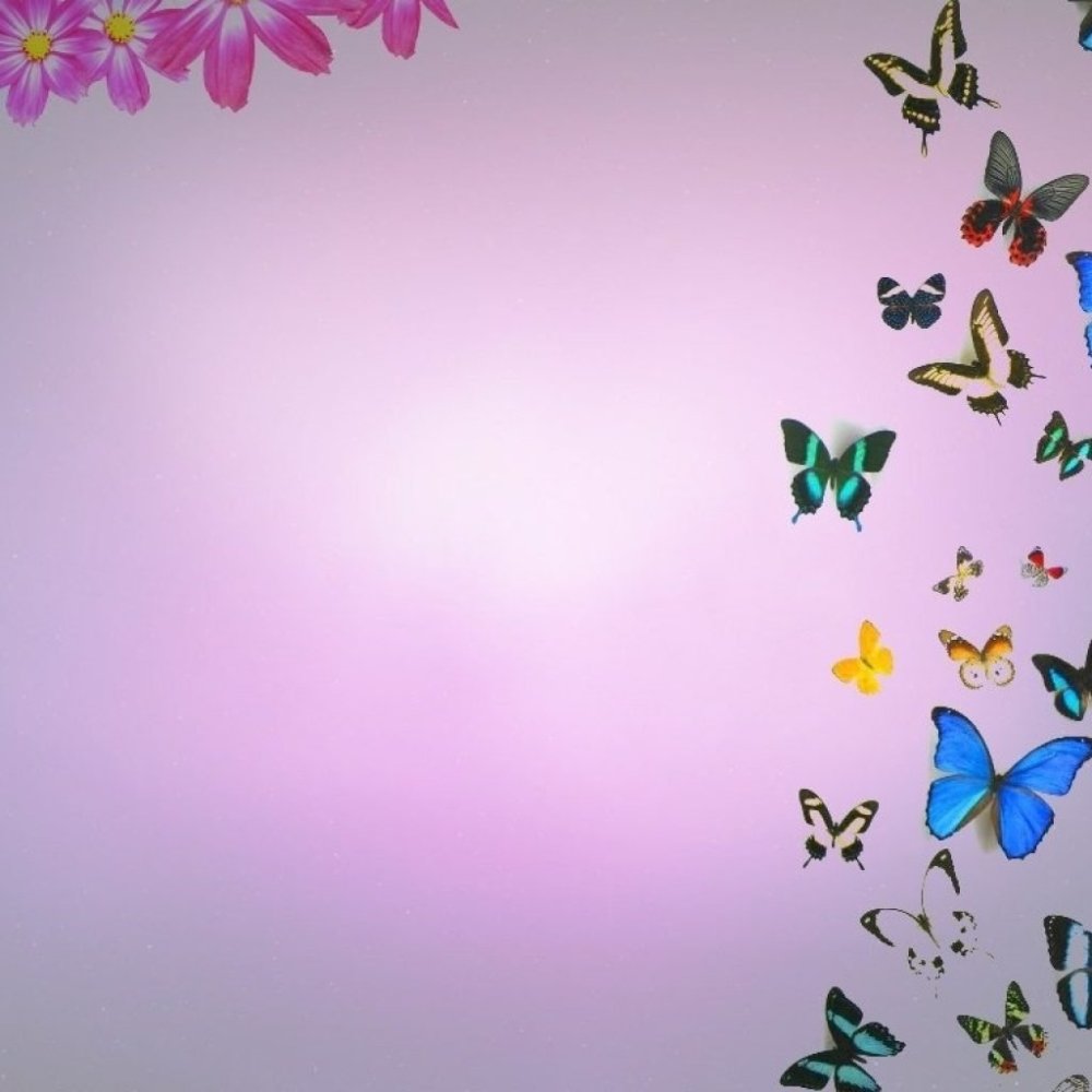 Фон с бабочками для фотошопа