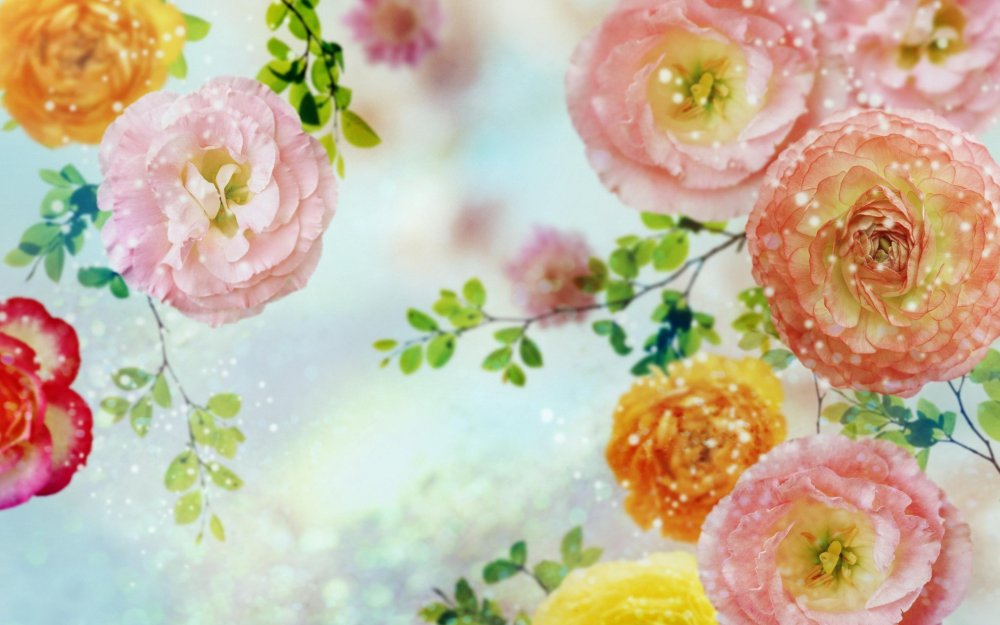 Красивый фон с цветами