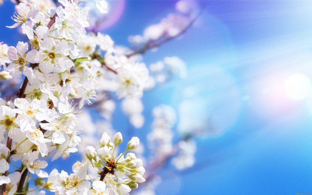 Весенний фон