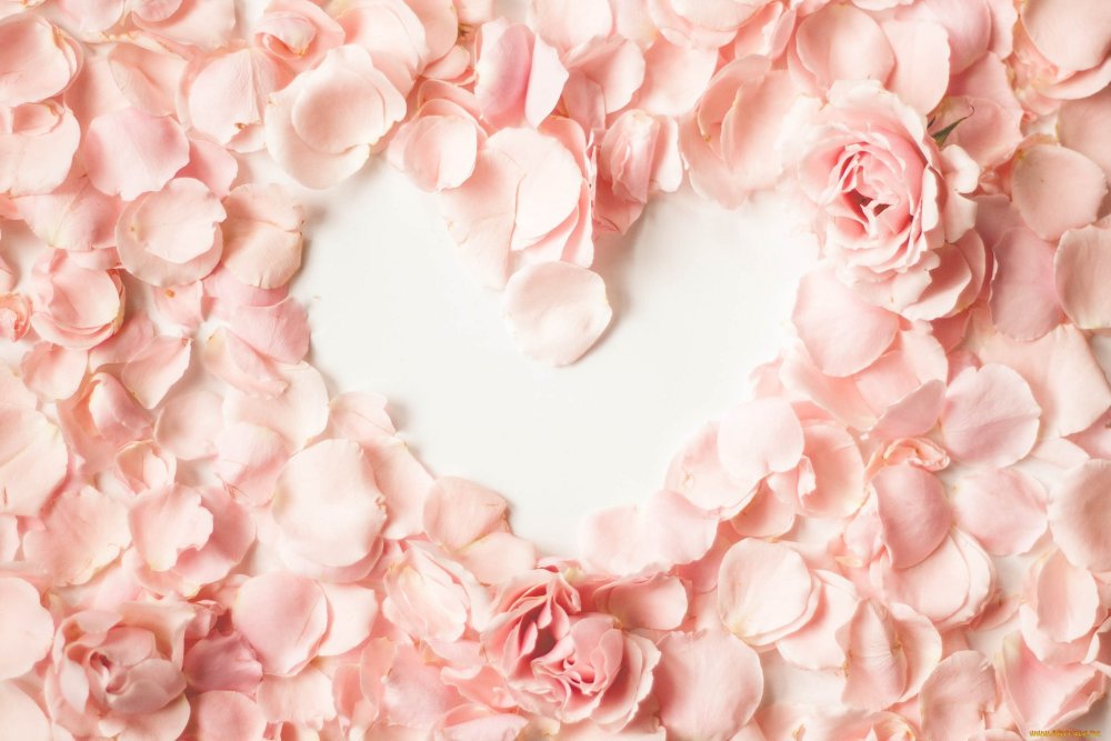 Фон для фотокниги свадьба