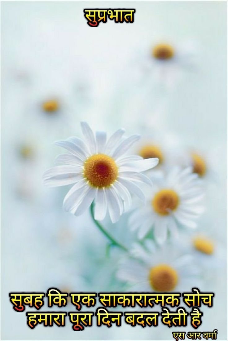 Летний фон с ромашками