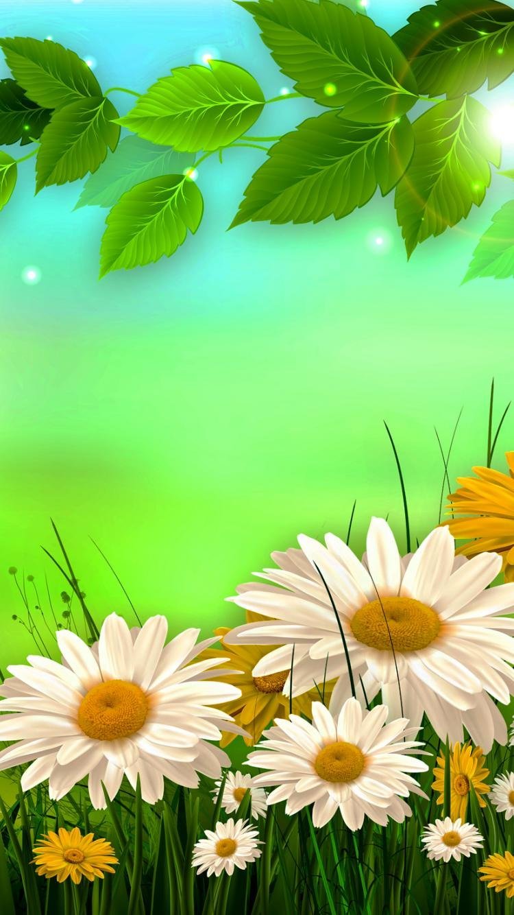 Фон ромашки