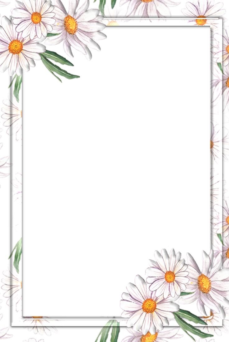 Белые цветы на голубом фоне