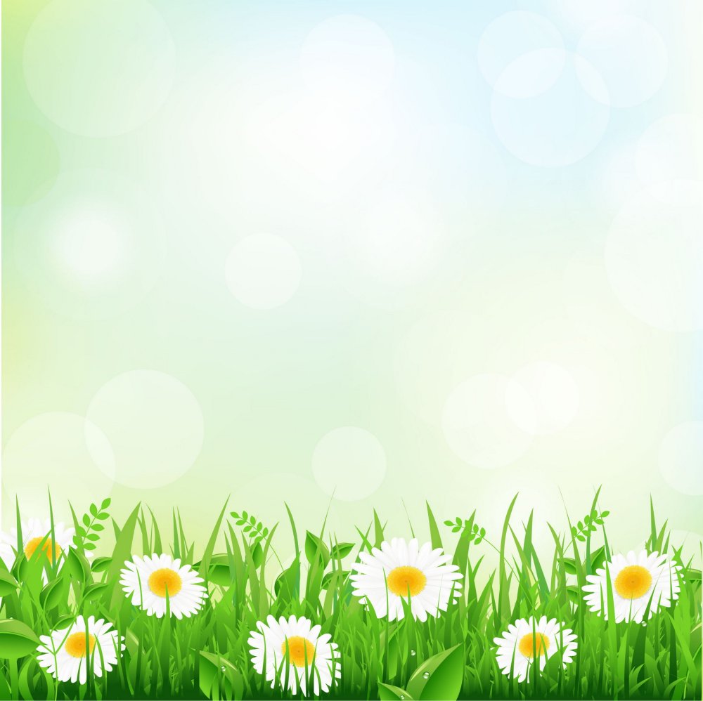 Цветочные фоны с ромашками для открыток