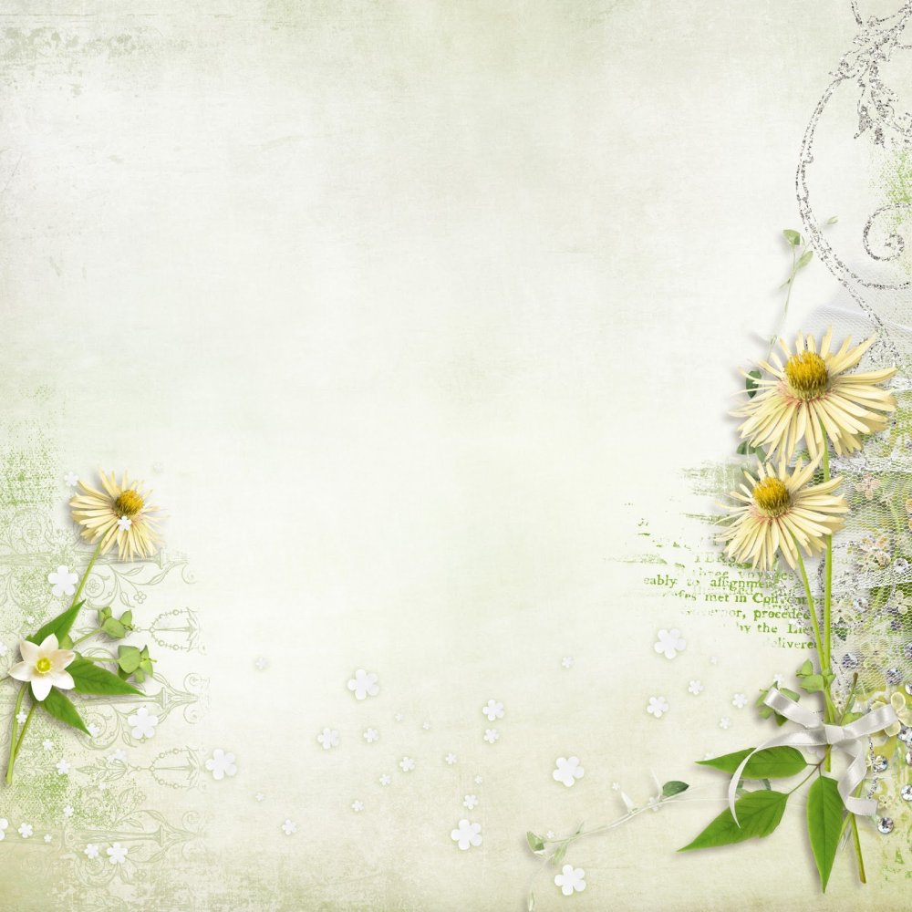 Портфолио с ромашками