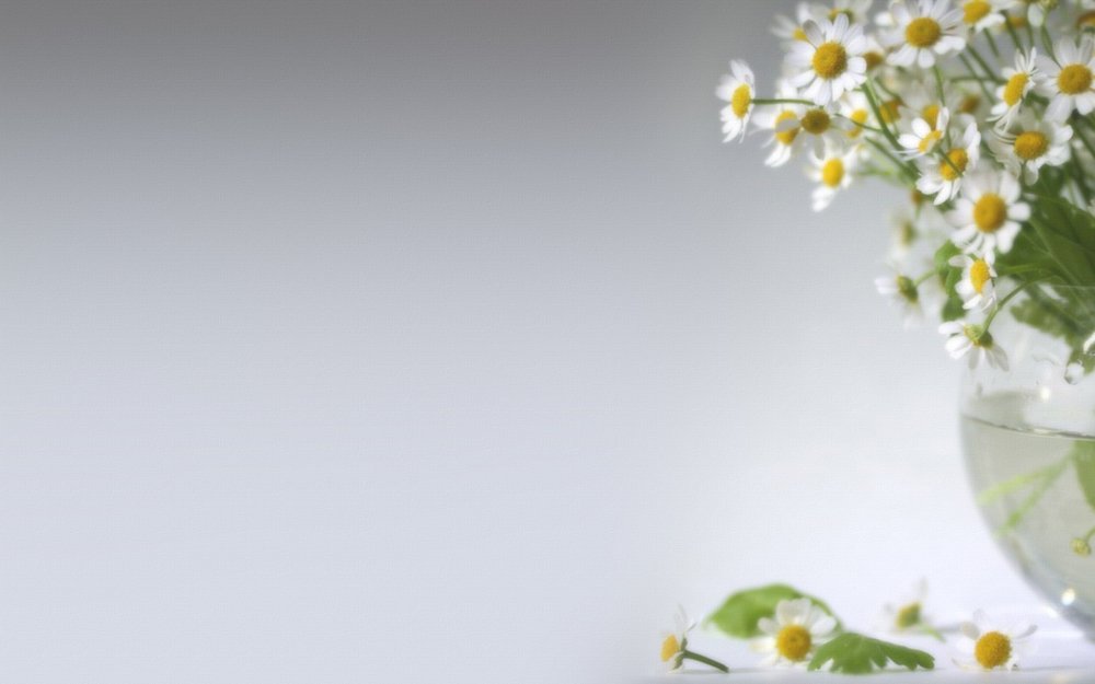 Ромашки вертикально