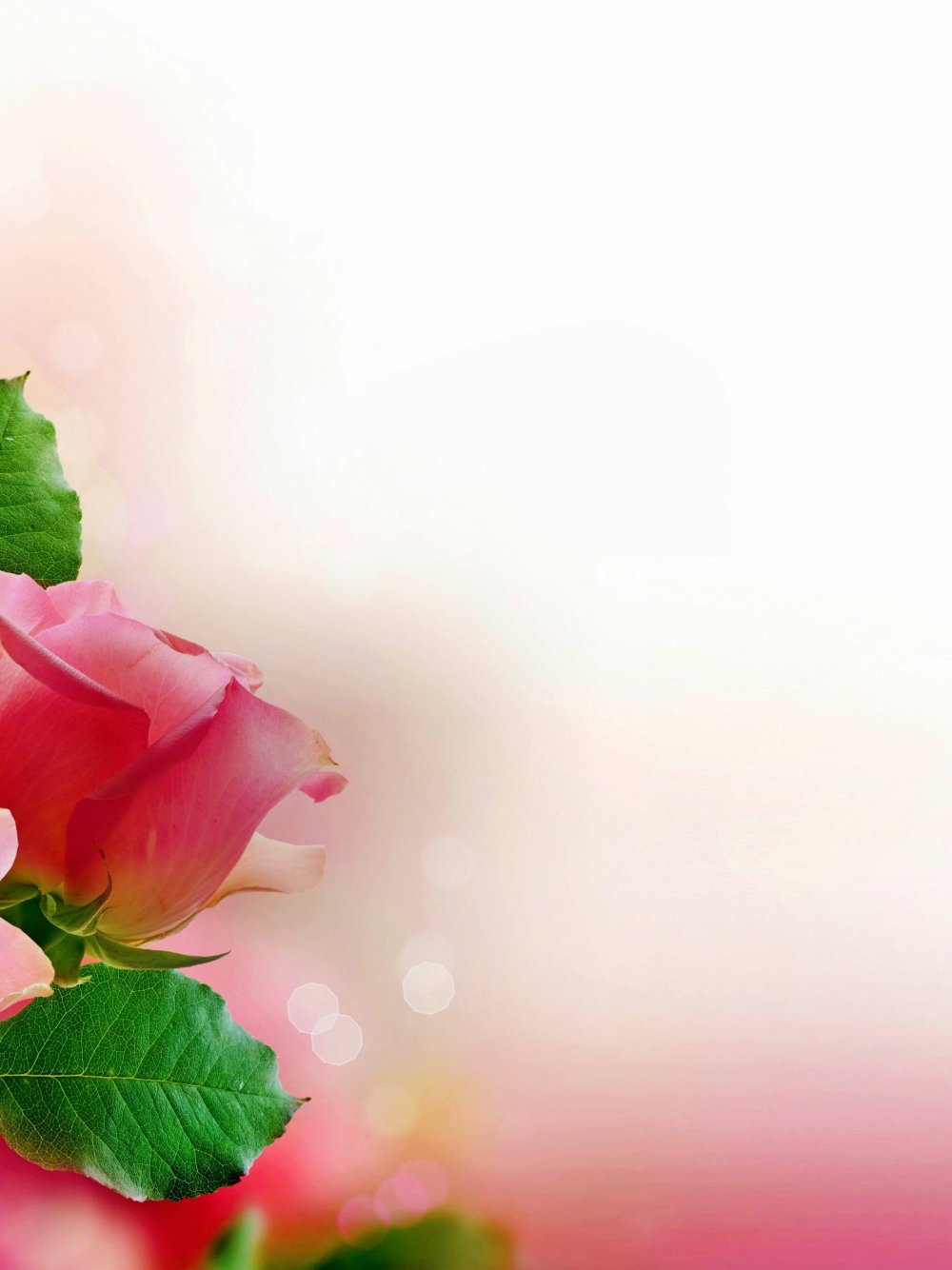 Фон для поздравительной открытки