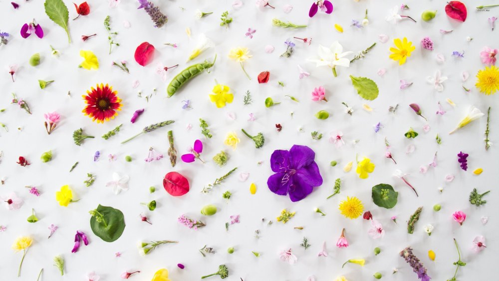 Аниме Весна