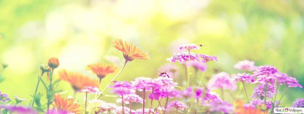 Красивый фон для текста