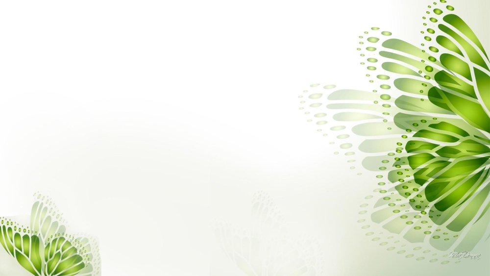 Бело зеленый фон