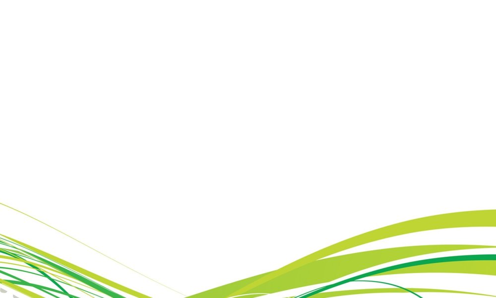 Бело зеленый фон