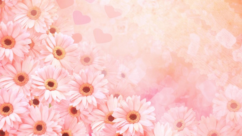 Картинки для фона