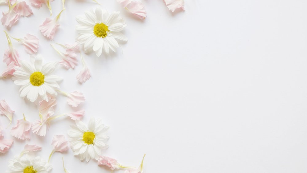 Нежный фон с цветами