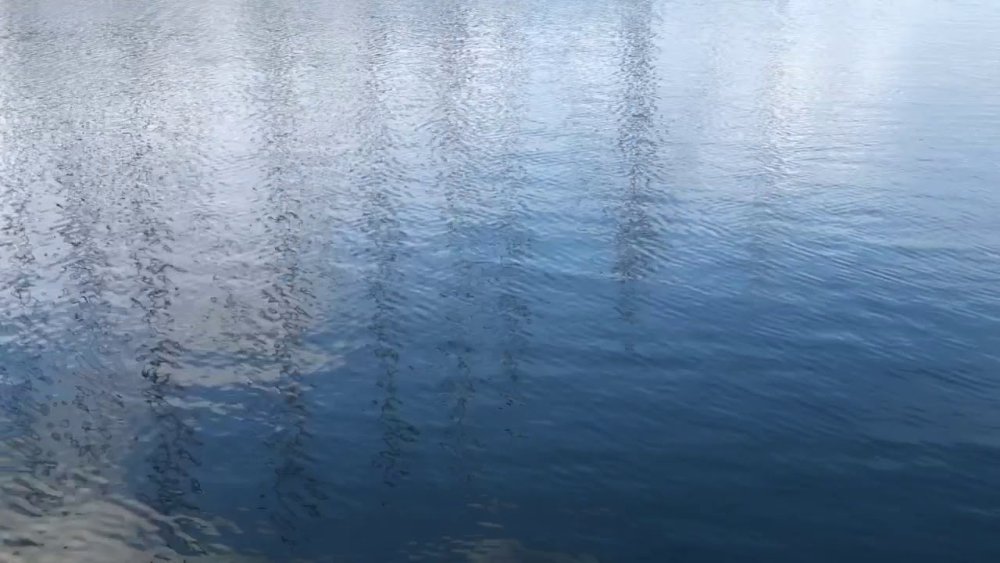 Водная гладь