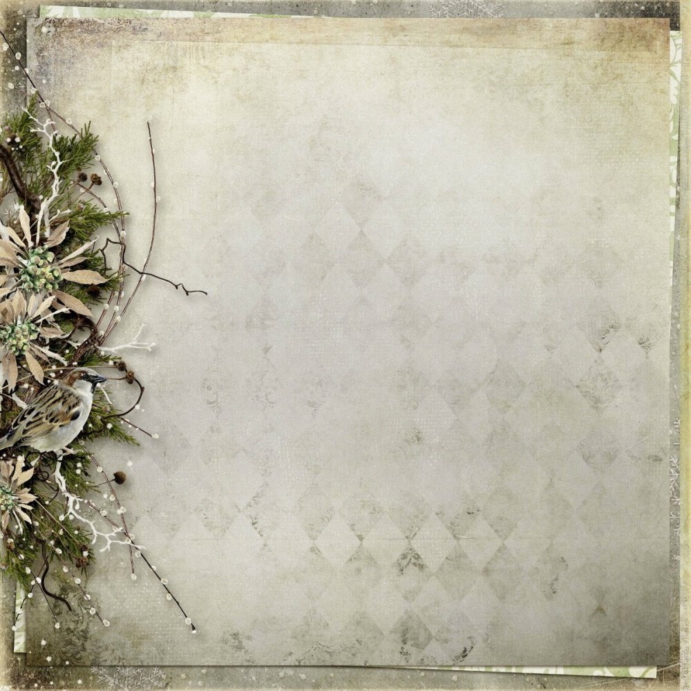 Фон для поздравительного текста