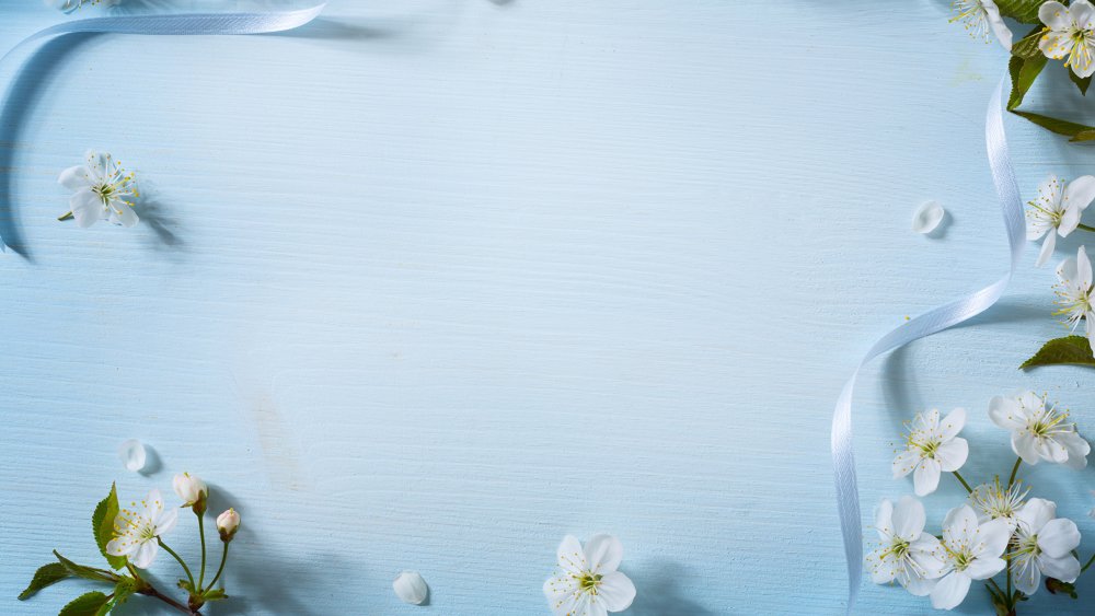 Фон для поздравительной открытки летняя