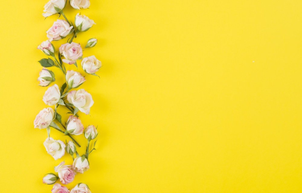 Цветы на желтом фоне