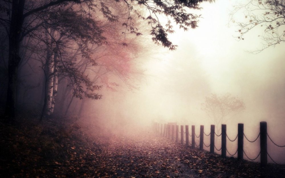 Красивый фон для цитат