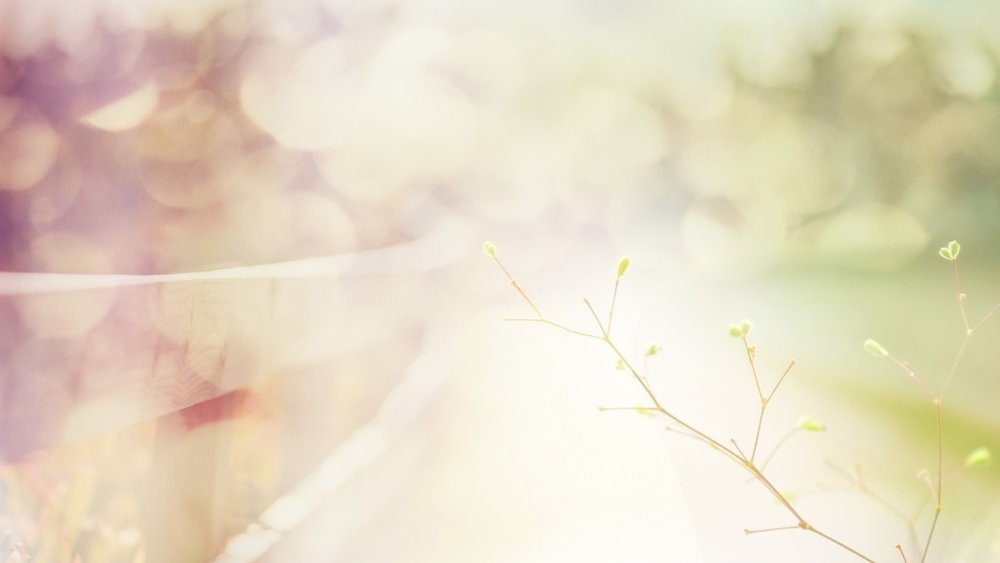 Размытый фон