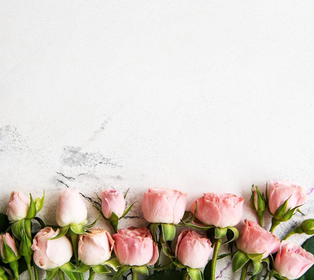 Фон цветы горизонтальный