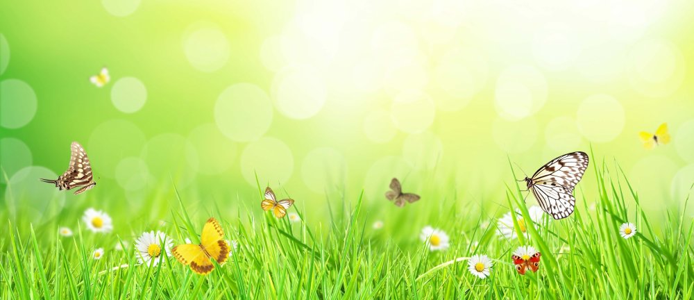 Весенний фон для детей