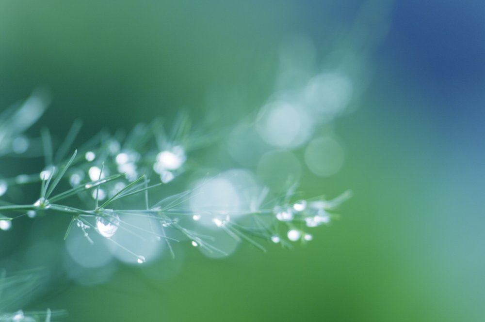 Весенний абстрактный фон