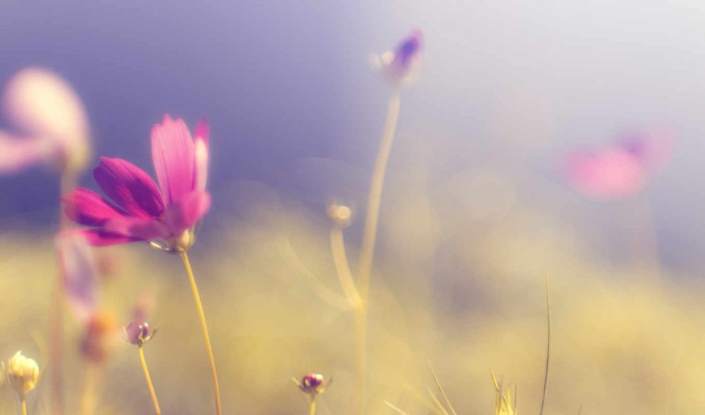 Спокойный фон для рабочего стола