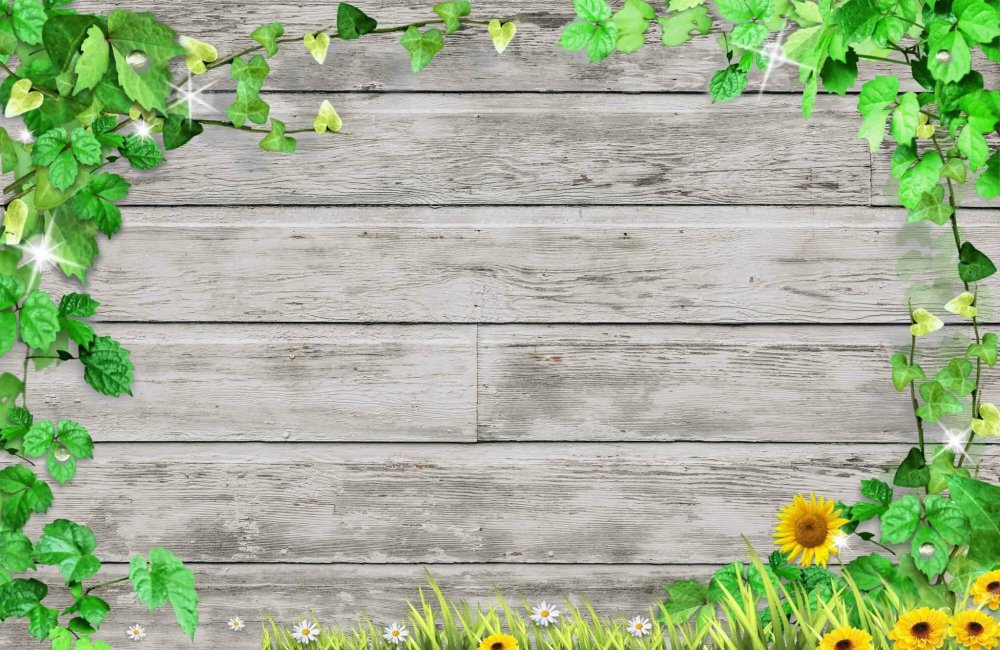 Фон для объявления