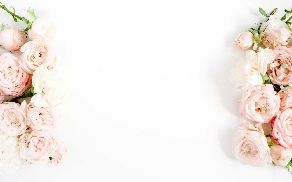 Фон с пионами по краям