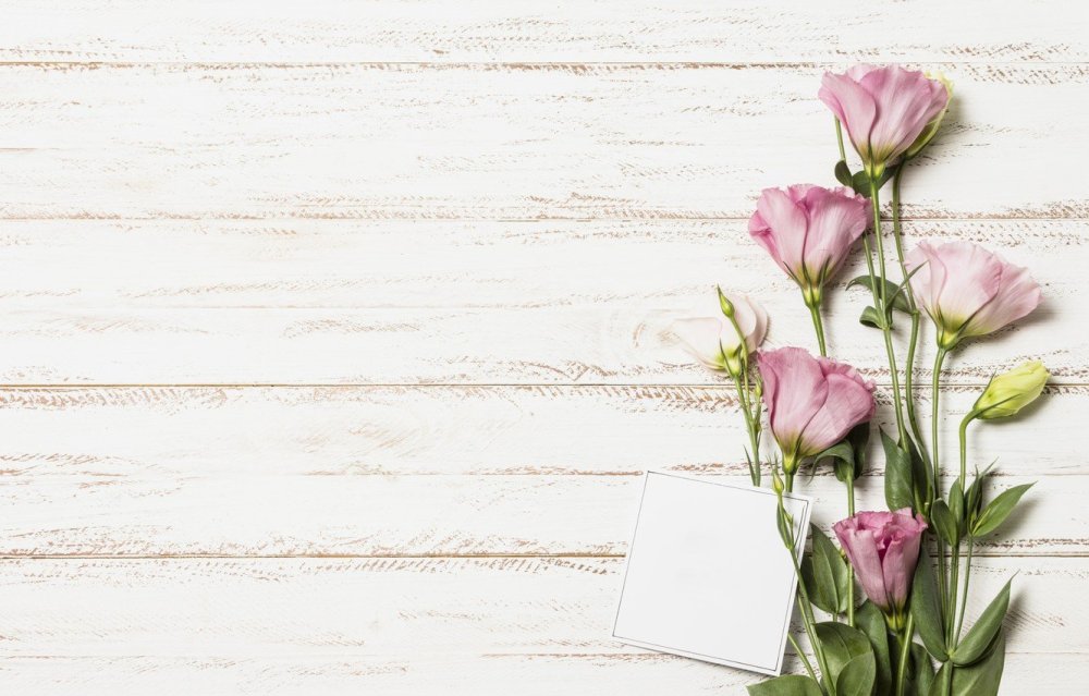 Фотофон эустома