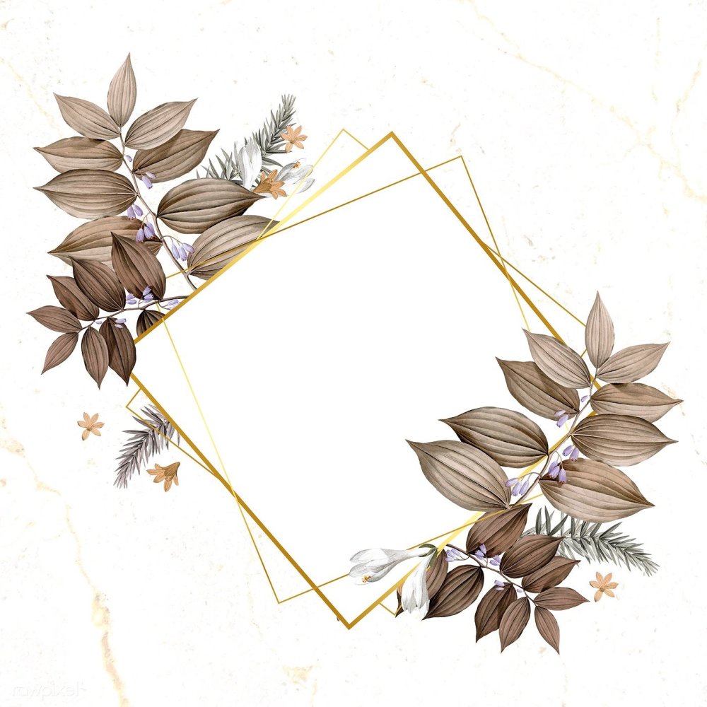 Стильная рамка