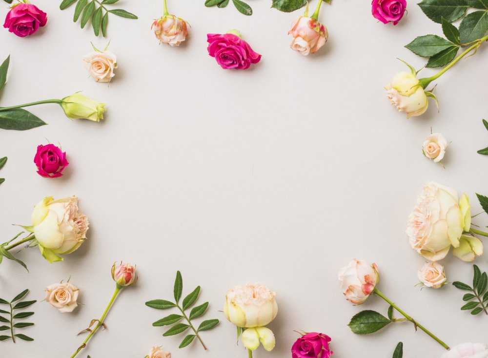 Цветы на однотонном фоне